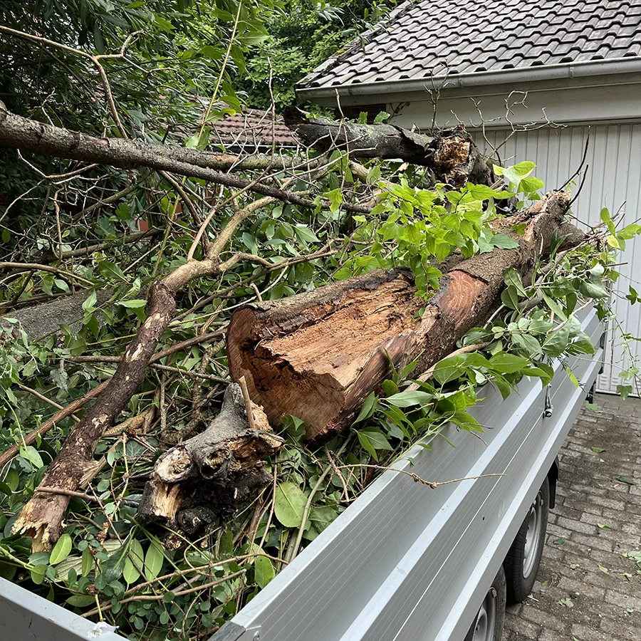 gartenbau-gartenabfall-entsorgen